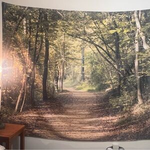 Forest Light by Ann Barnes Wall Tapestry
By East Urban Home. Size : 68"H x 80" W